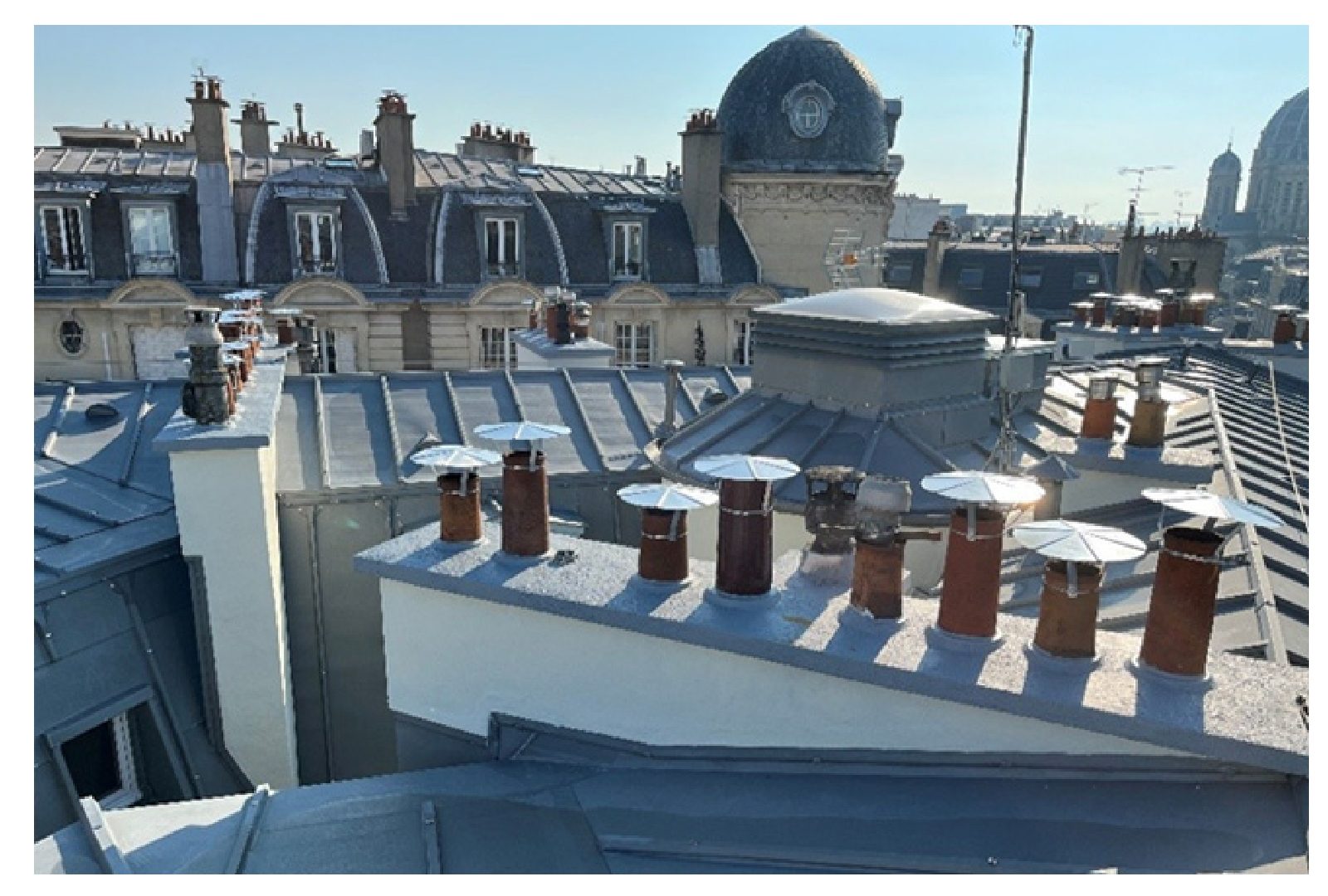 Elogie Siemp - Actualités