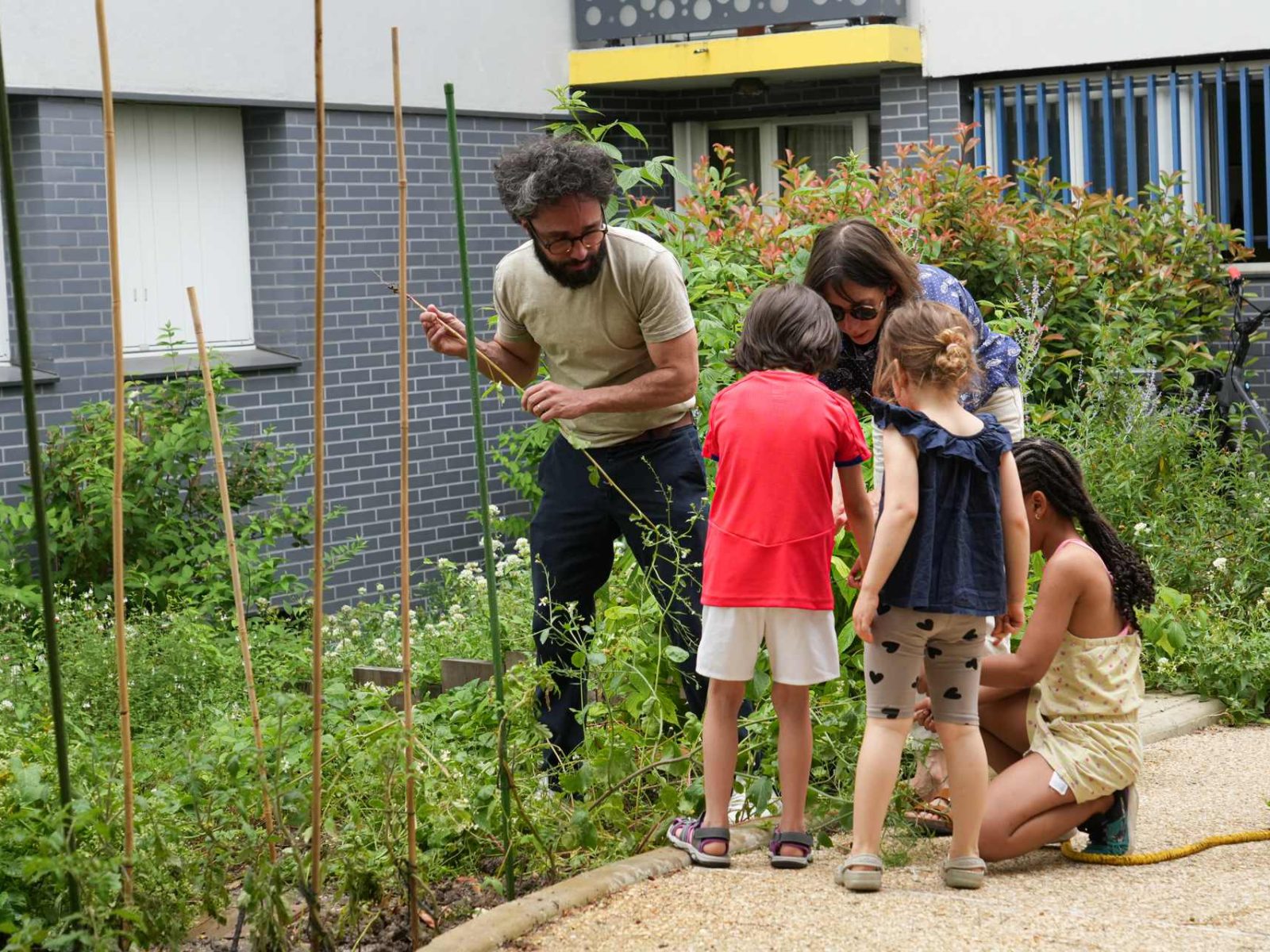 Elogie Siemp - Actualités