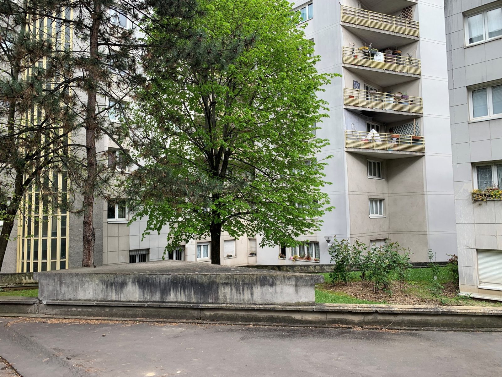 Elogie Siemp - Actualités