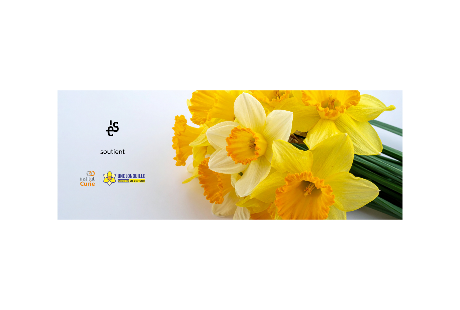 Elogie Siemp - Actualités